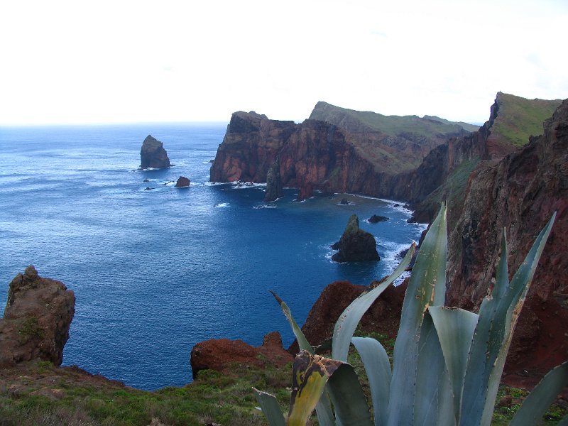 Madeira (121).jpg